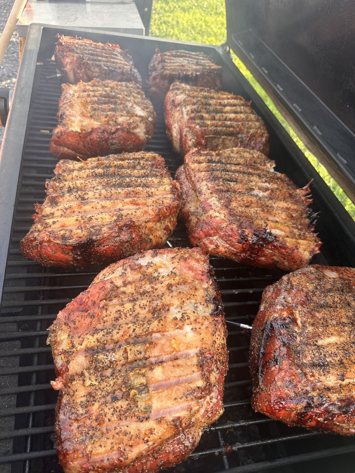 Seasoned pork butts lined up on a smoker grate