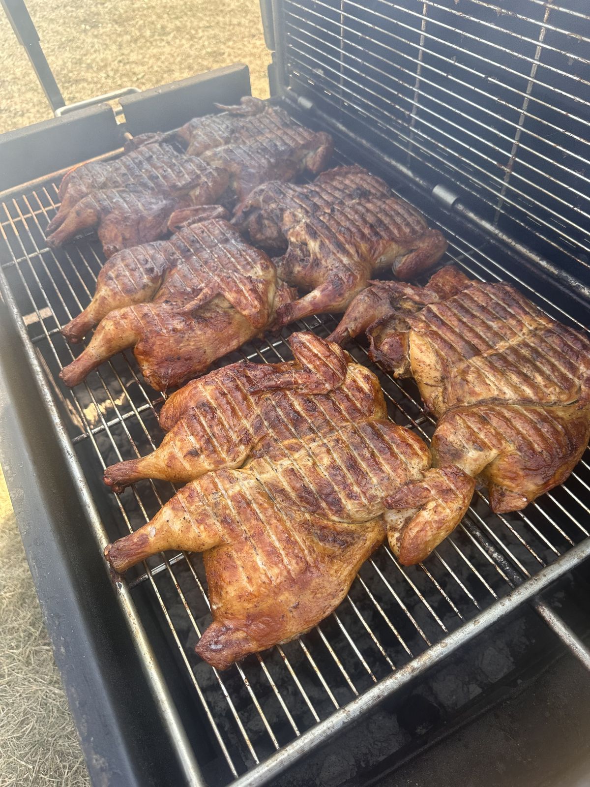 Spatchcocked chickens browning skin-side up on a grill grate