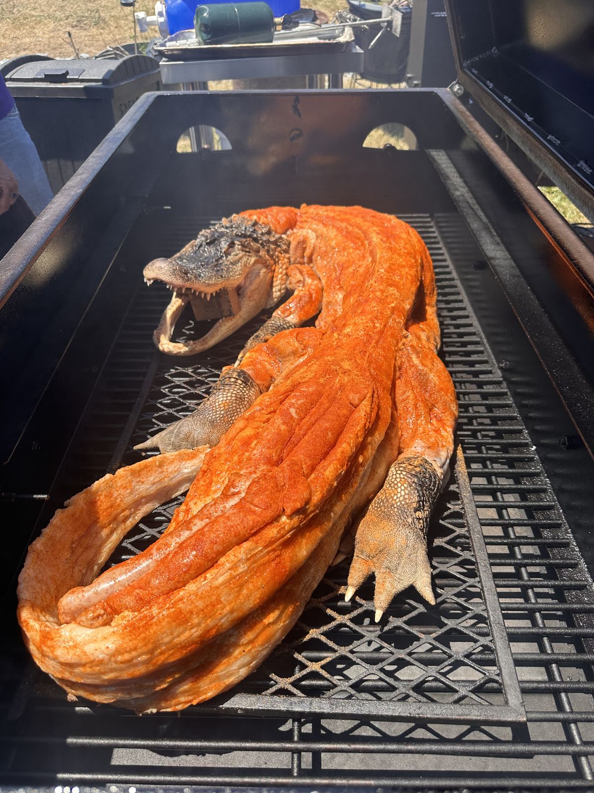 Whole seasoned alligator stretched across a smoker grate